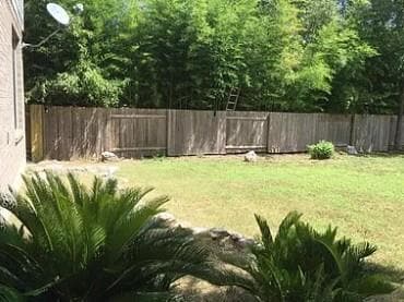 Photo - 11217 Jockey Bluff Dr