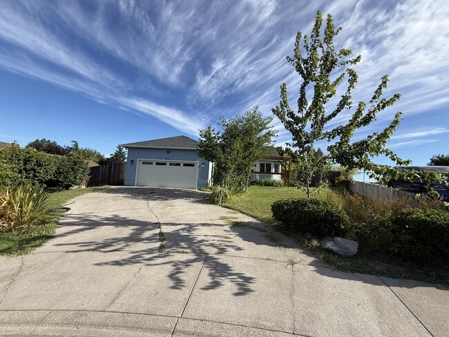 Photo - 2431 Bell Ct