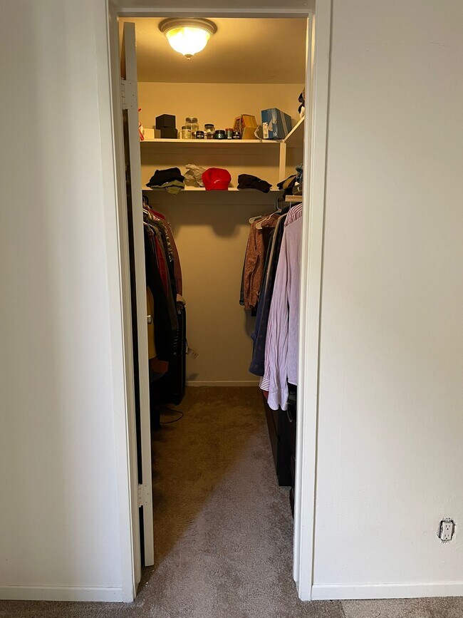 Walk-in closet - 517 N Francisca Ave Unit 1