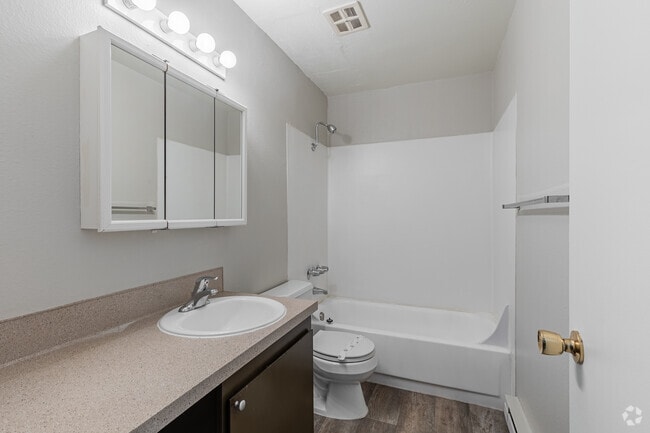 0BR, 1BA - 355SF - Bathroom
