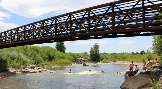 Photo - The Bear Necessities