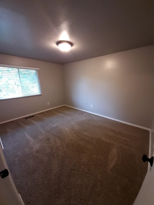 Photo - 2906 Tumbleweed Ln