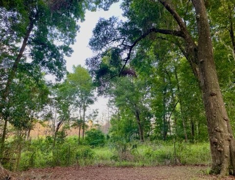 Photo - 2339 SE 46th Ter