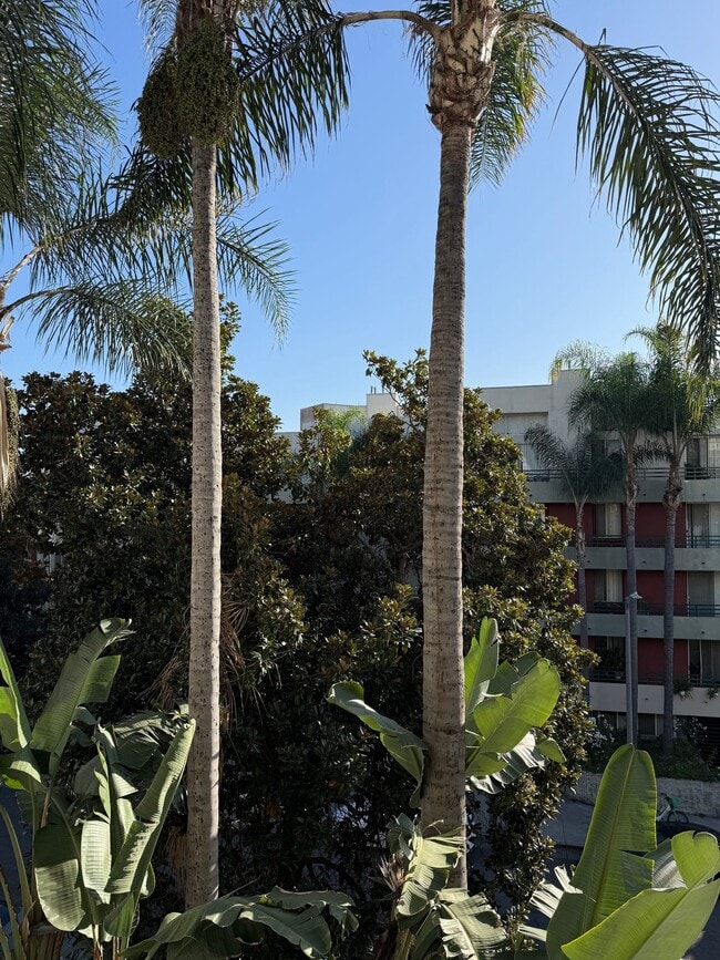 Photo - Clean & a Great Value Well Appointed Apartment Unidad 305