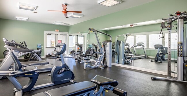 Photo - Acacia at Santa Rosa Creek