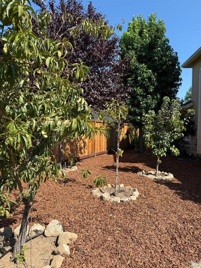 Photo - 1395 Grove Ct