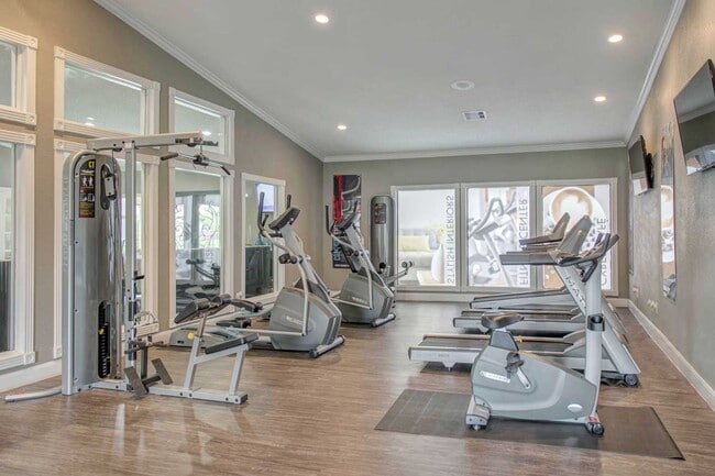 Photo - Sunset Shadows