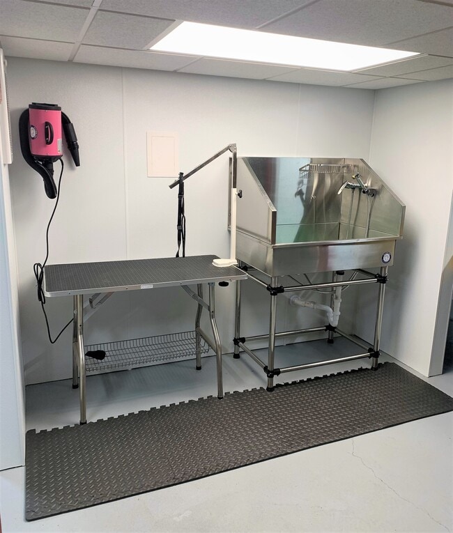 Indoor Pet Washing Station