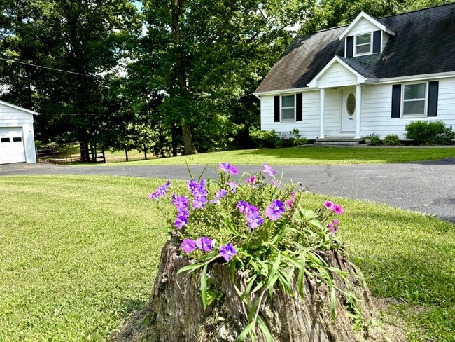 Building Photo - 1405 Webb Ridge Rd