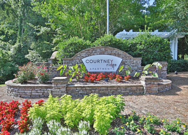 Photo - Courtney Ridge