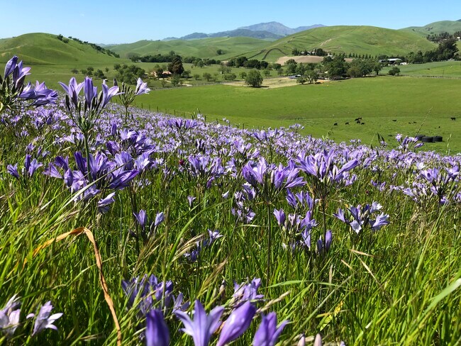 Photo - 7575 Manning Rd