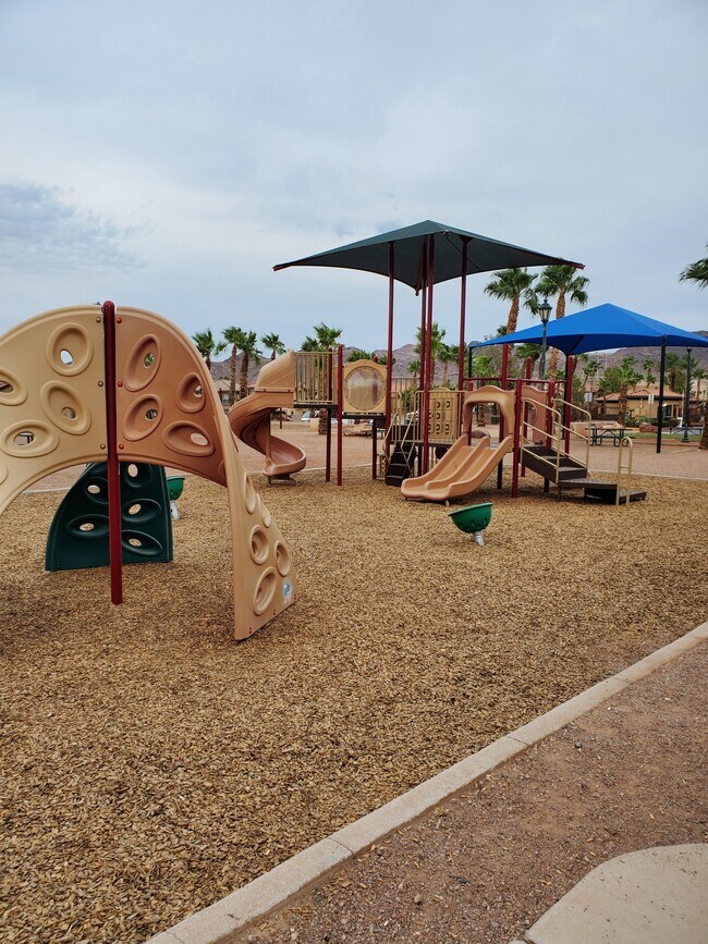 Photo - 1151 Safari Creek Dr