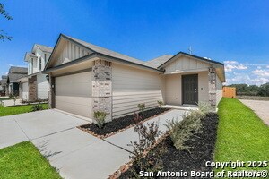 Photo - 15203 Sacred Ibis