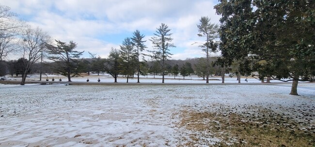 Photo - 590 Dunbar Cave Rd