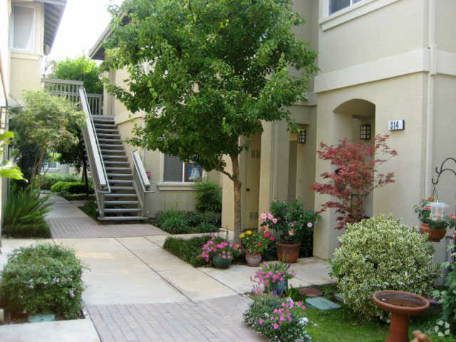 Vineyard Court - Vineyard Court Apartamentos