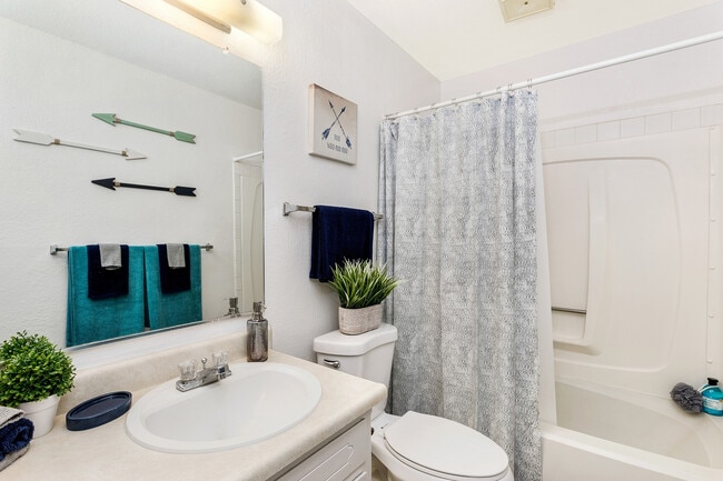 Photo - The Social Chico®