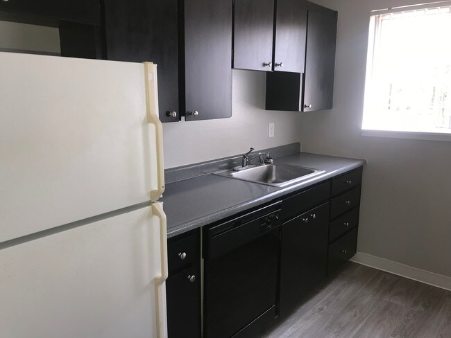 Photo - Springcreek Trail Apartments