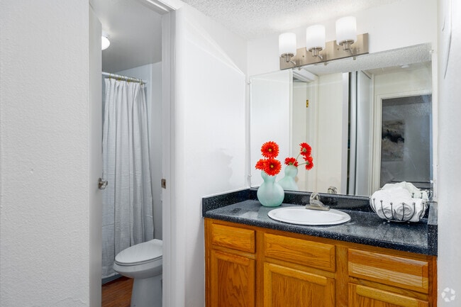 B2 1BR, 1BA - 740SF - Bathroom