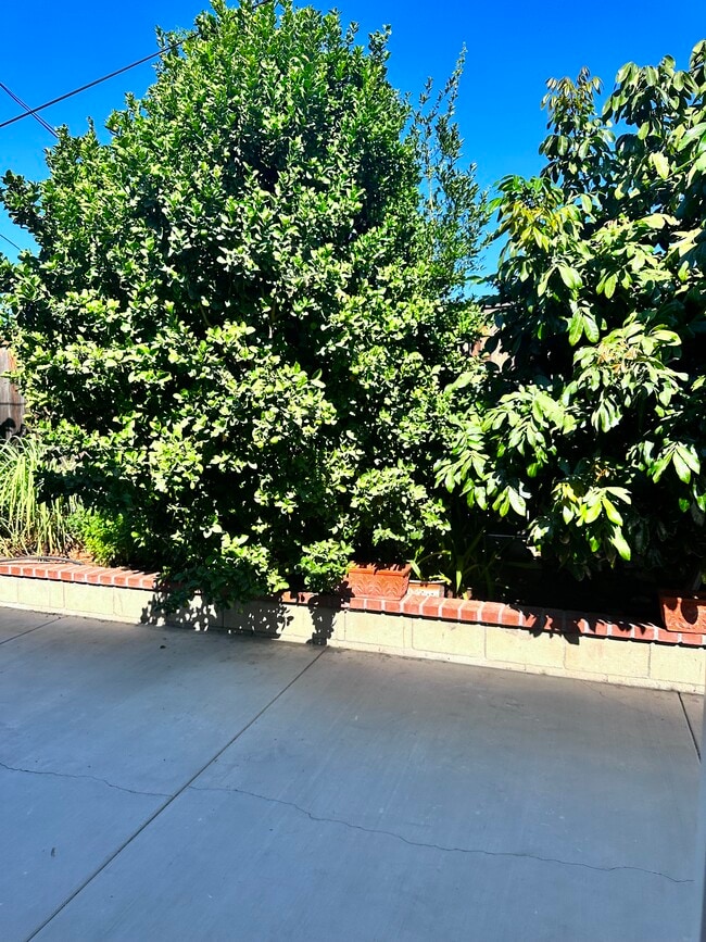 Photo - 2621 Wallace Ave