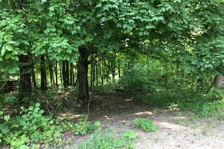 Photo - 29490 Hawkins Creek Rd