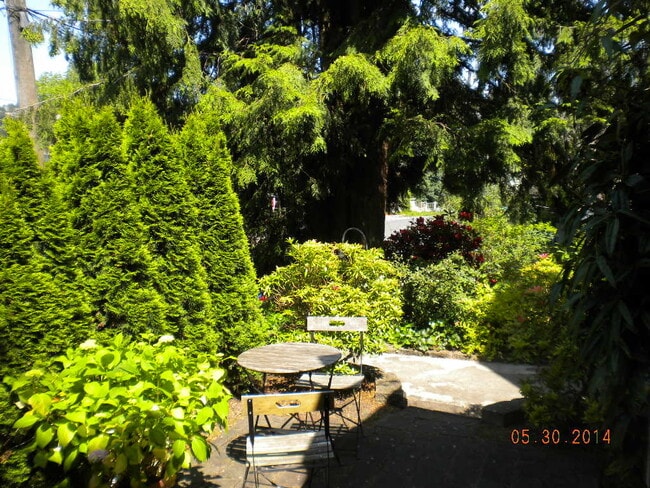 Photo - Madrona Charmer!