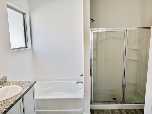 Photo - 41095 Merganser