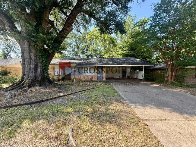 Building Photo - Coming Soon! 4 Bedroom 2.5 Bathroom Home!
