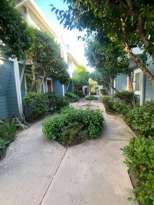1434 Essex St Unit 6