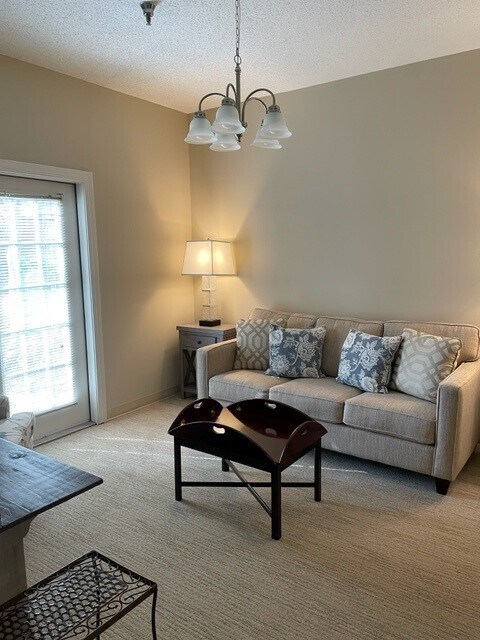 your cozy living room