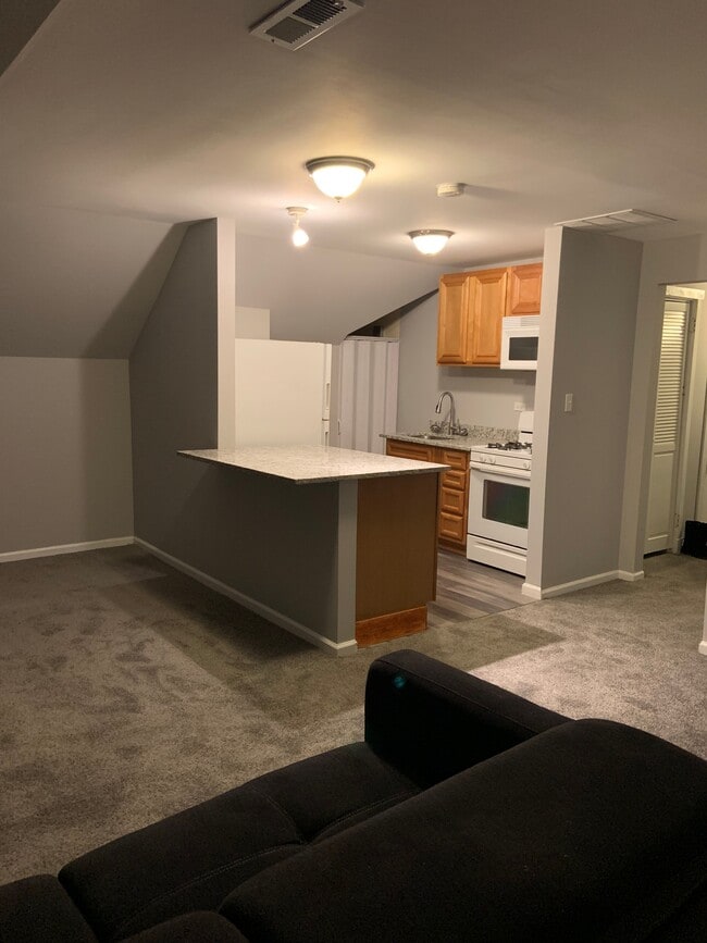 Photo - 7147 S Princeton Ave Unit 3