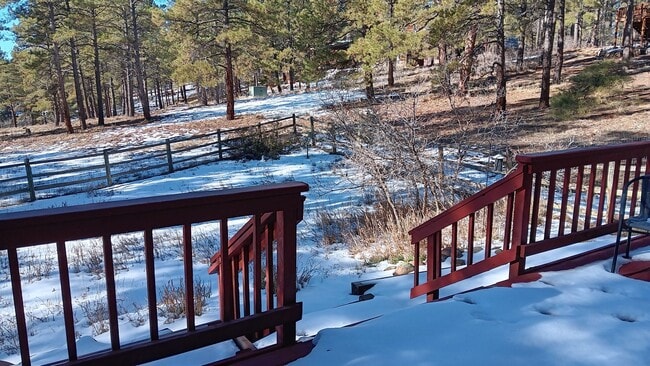 Photo - Sweet Antelope