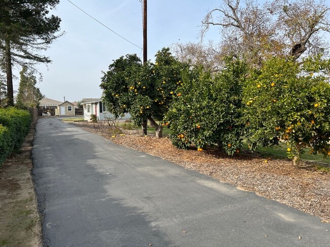 Photo - 1913 Tully Rd