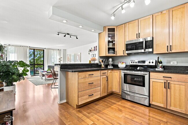 Photo - 1660 N La Salle Dr Unit 508