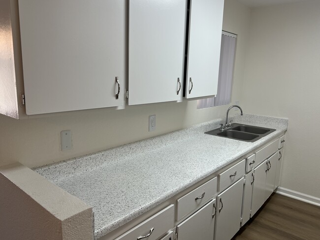 Kitchen Sink Counters - Villa De La Rosa