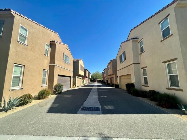 617 Calle Vibrante