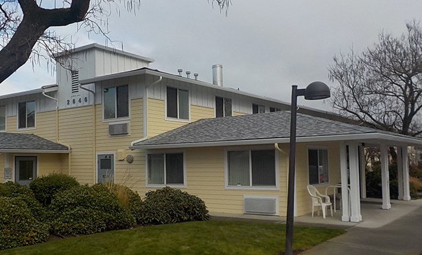 Photo - Catalpa Shade