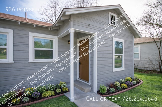 Photo - 936 poinsettia-