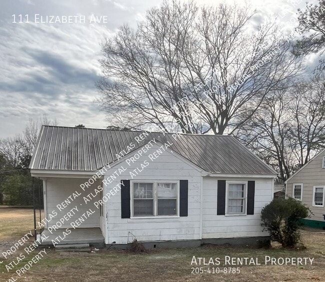 Building Photo - 111 Elizabeth Ave