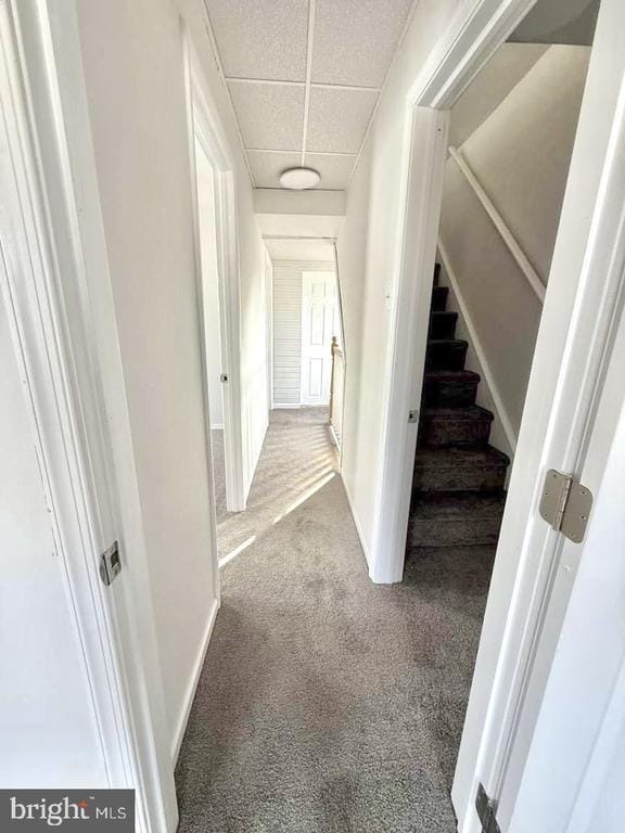 Photo - 136 Webster St