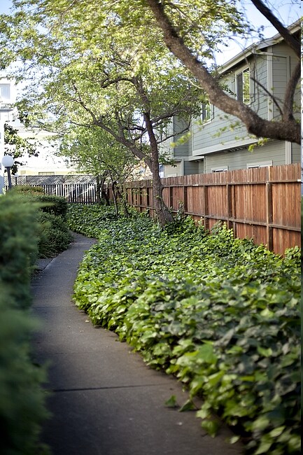 Photo - Camino Colegio Estates