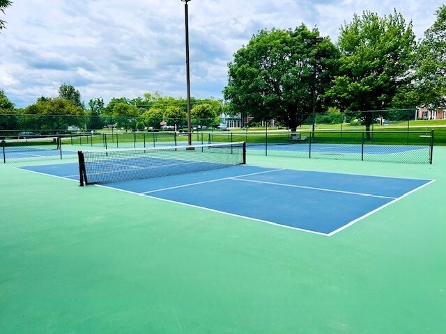 Pickleball Court