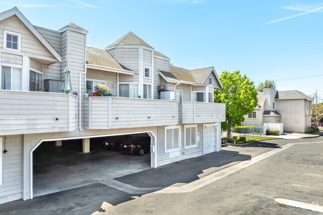 Jardines de orquídeas - Orchid Gardens