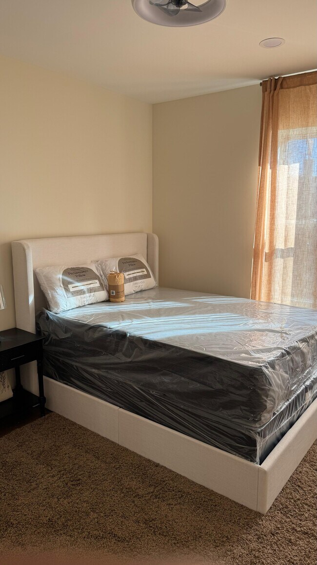 6309 Delmar Apartment - Furnished
