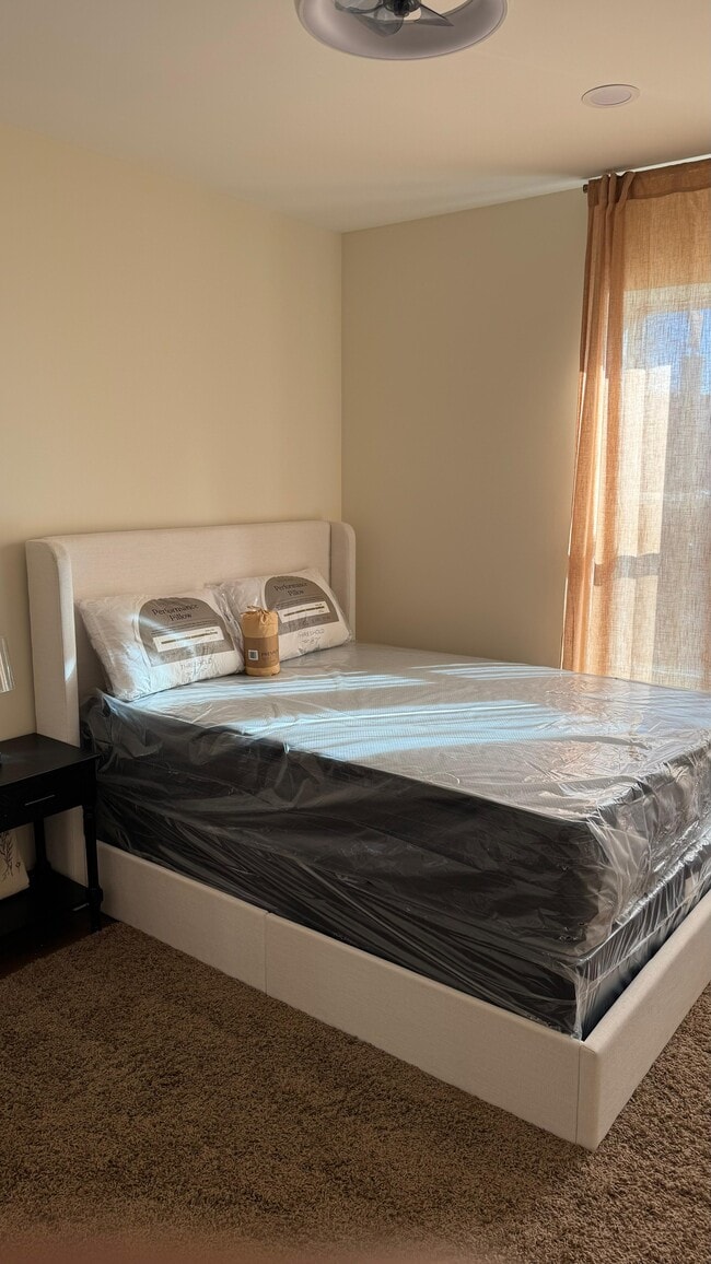 6309 Delmar Apartment - Furnished - 6309 Delmar Blvd