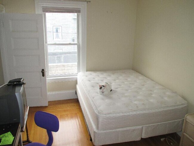 Photo - Renovated 5 Bed in Brighton – Central Air – W/D in Unit – 9/1 Move-In