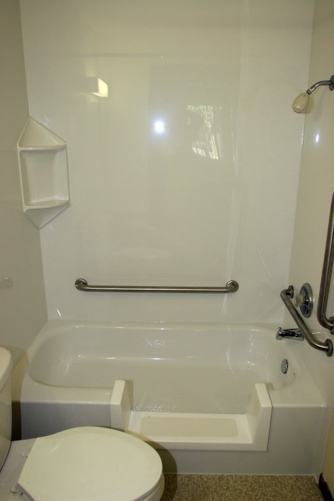 Step-in Bathtub