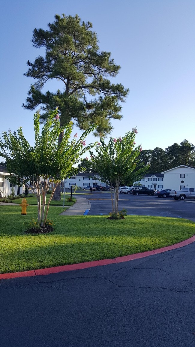 Summer Chase Apartments