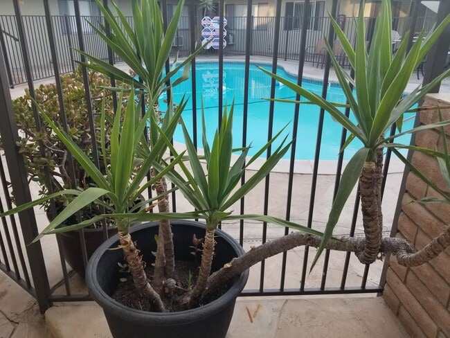 Photo - 917 E Madison Ave Unit 917 E Madison Ave