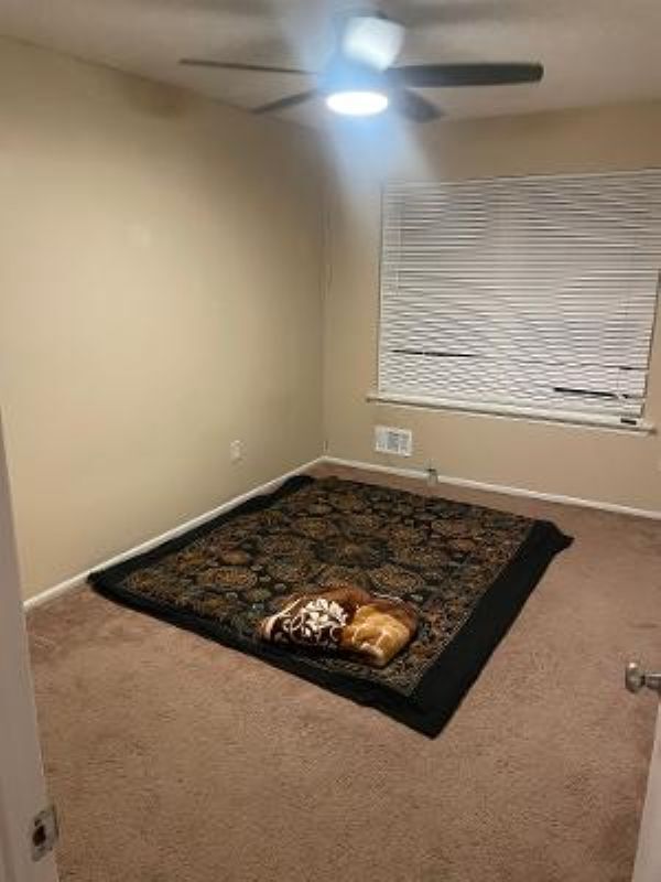 Photo - 13 Bordenshire Dr