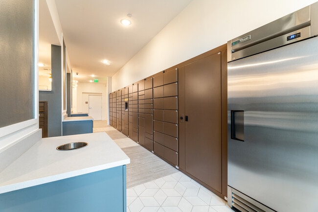 Photo - Maple + Denton